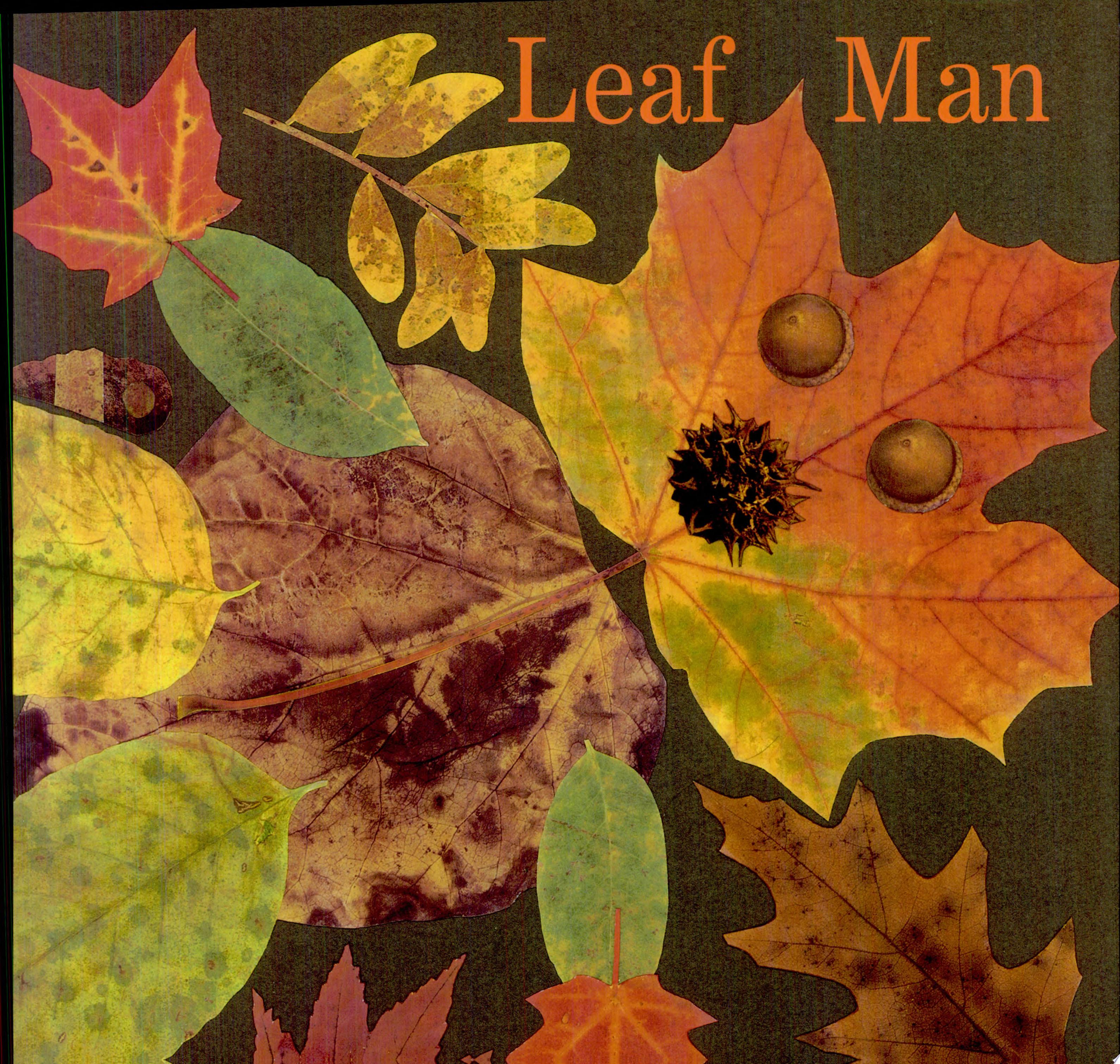 Image for "Leaf Man"