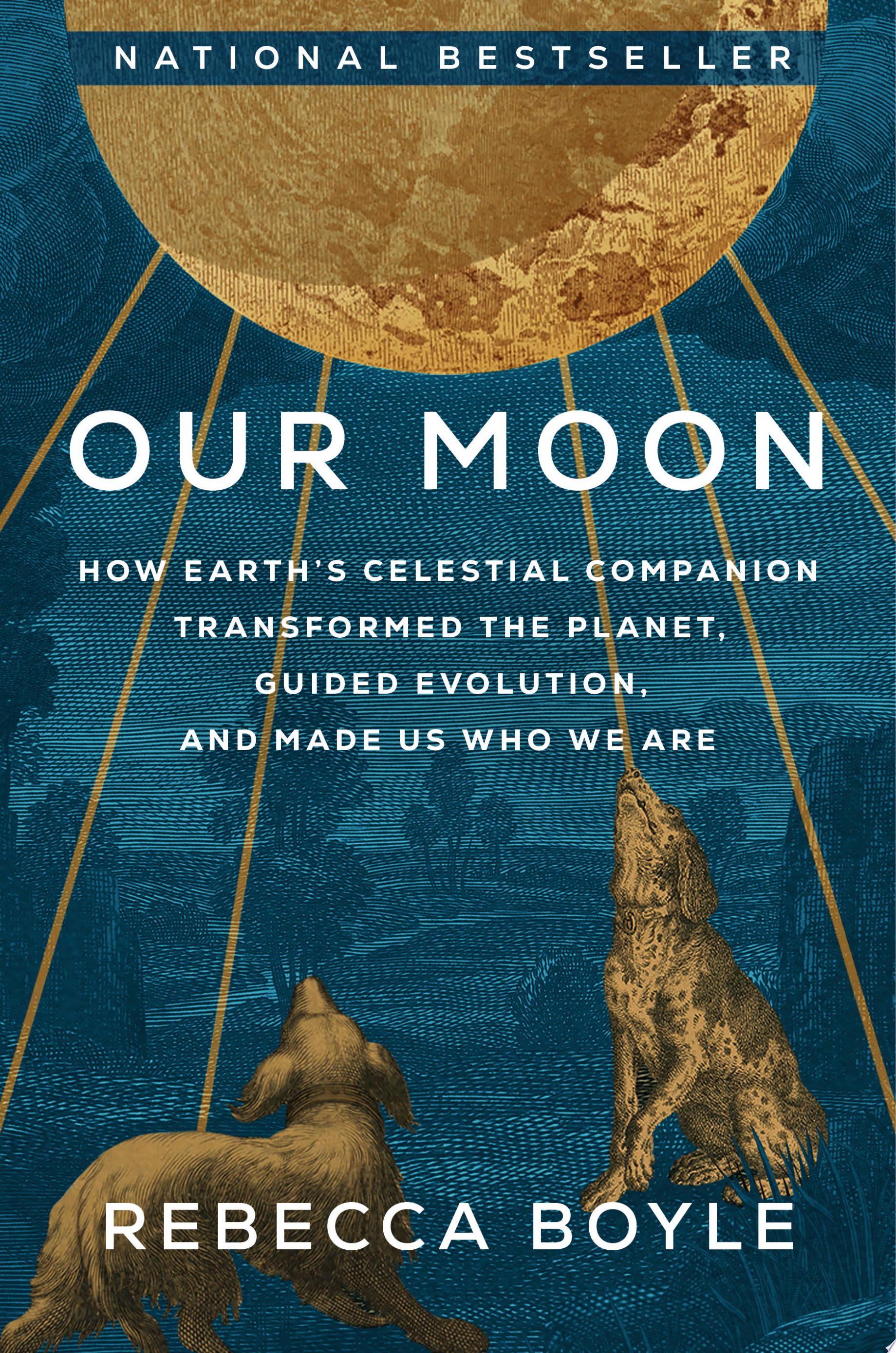 Image for "Our Moon"