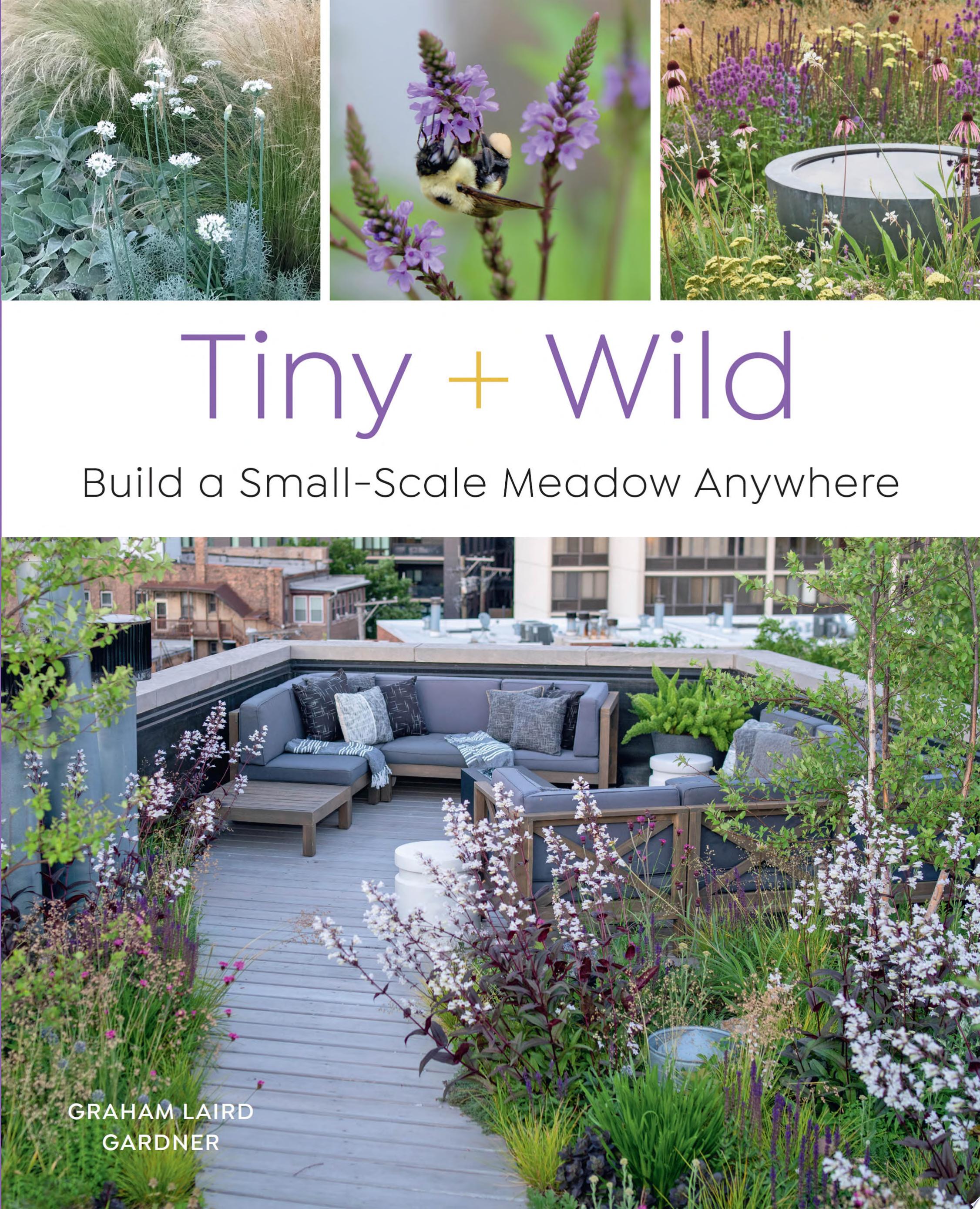 Image for "Tiny and Wild"