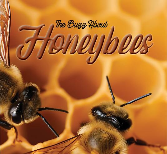 Image of a Honeybee Hive